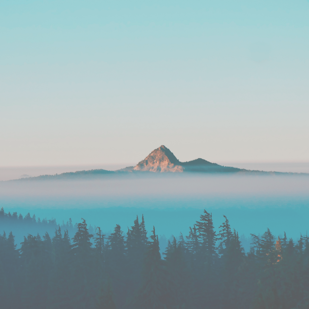 Resonador cuántico Mente Natural