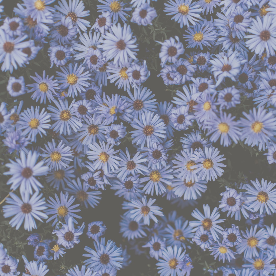 Spray Protector del aura