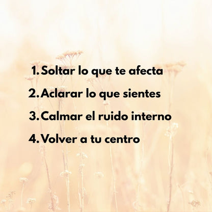 Protocolo Inicial