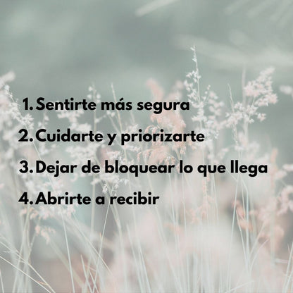 Protocolo Pilares internos y relación con la vida