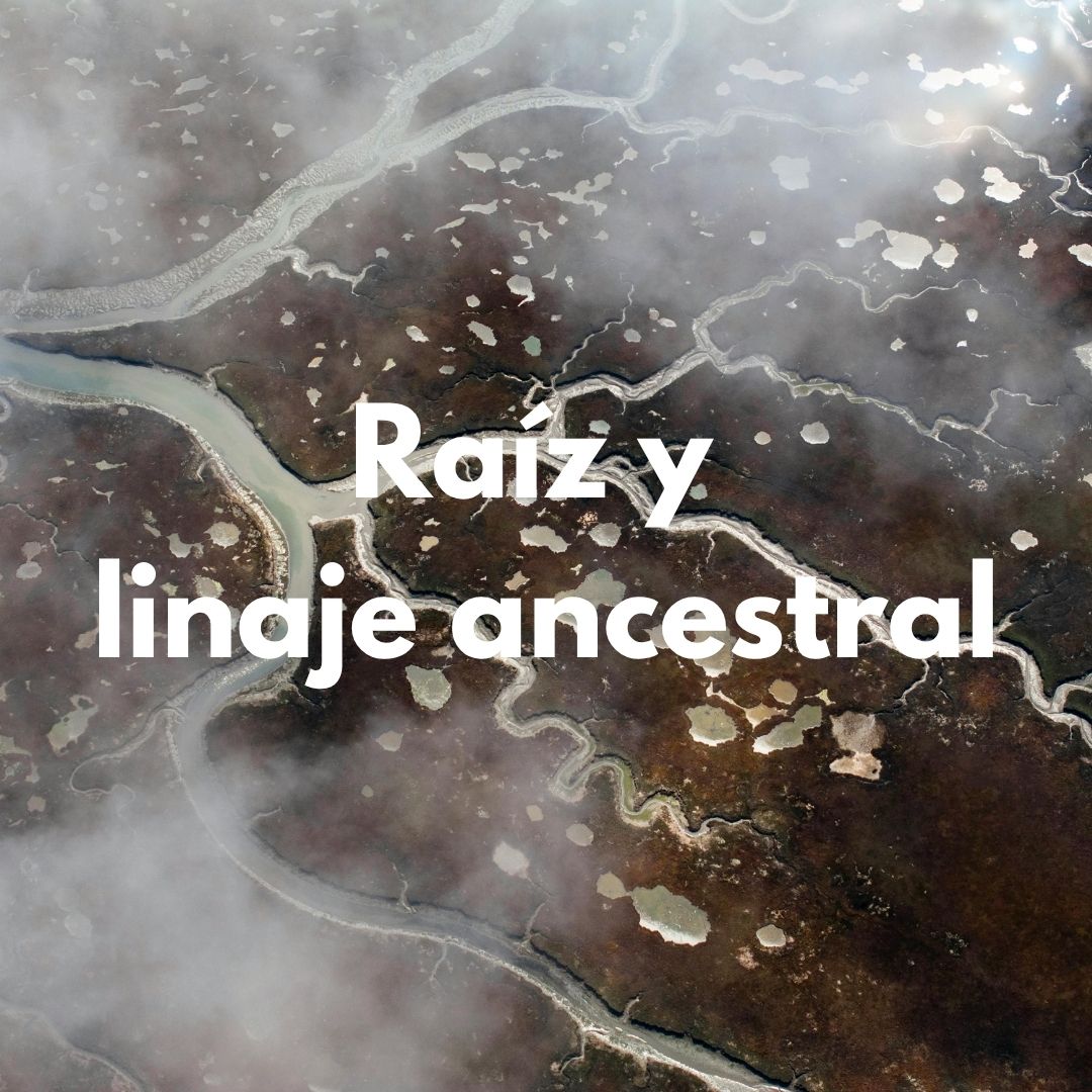 Protocolo Raiz y Linaje ancestral