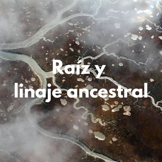 Protocolo Raiz y Linaje ancestral