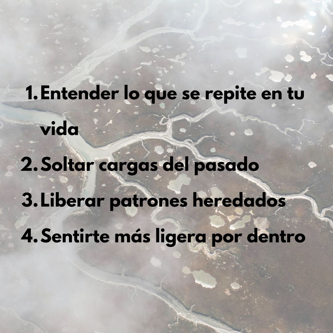 Protocolo Raiz y Linaje ancestral