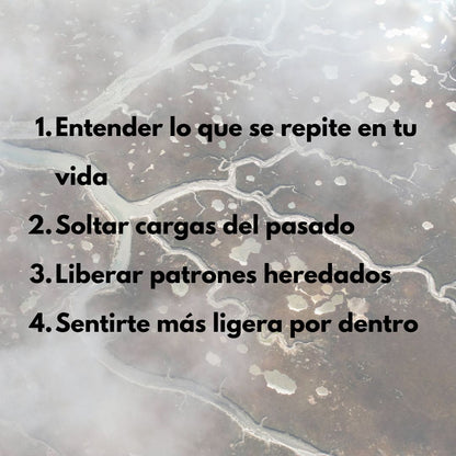 Protocolo Raiz y Linaje ancestral