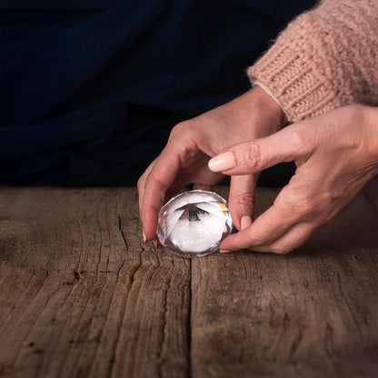 Cristal Frecuencia Diamantina Cristal Arcoiris