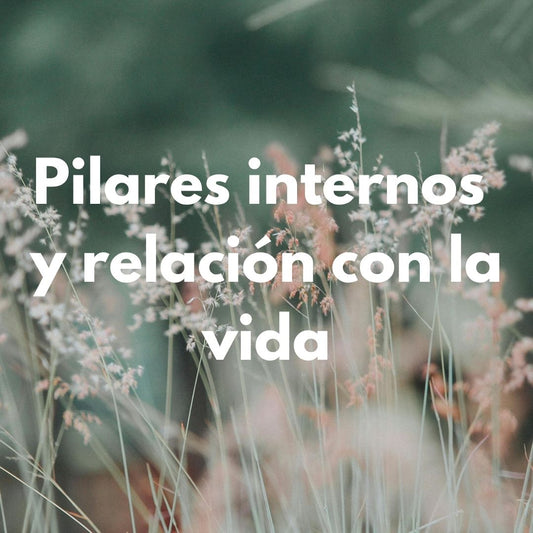 Protocolo Pilares internos y relación con la vida