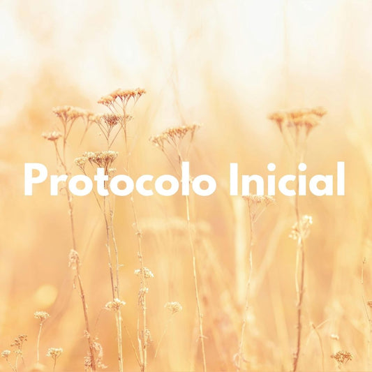 Protocolo Inicial