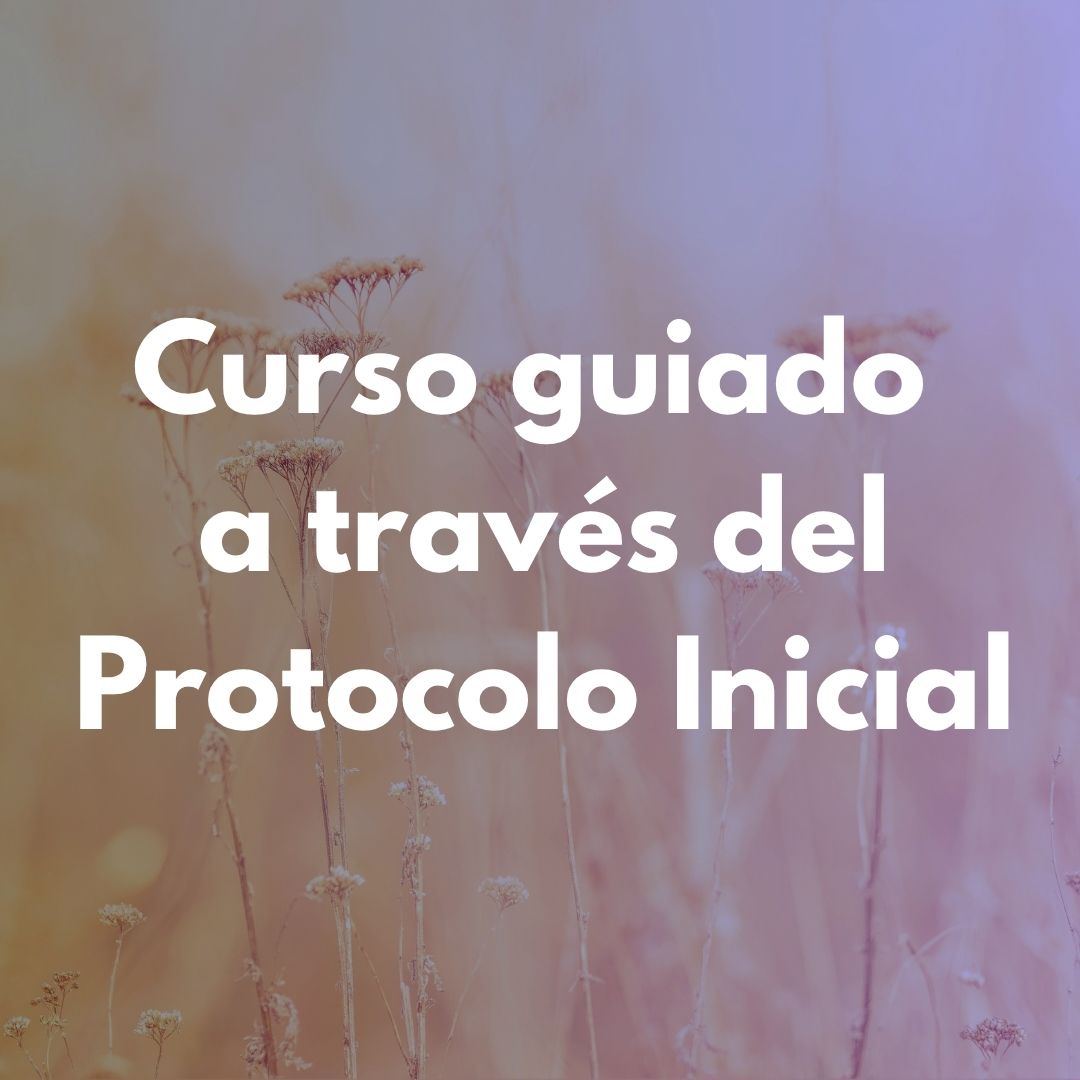 Curso guiado - Protocolo Inicial