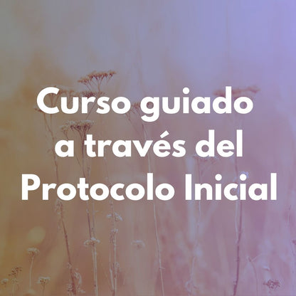 Curso guiado - Protocolo Inicial
