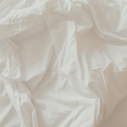 Resonador Cuántico Espacio Seguro